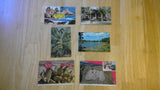 Vintage Postcards Lot Of Six
