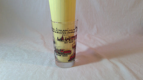 Vintage Famous American Trains Drinking Glass Cup Mug